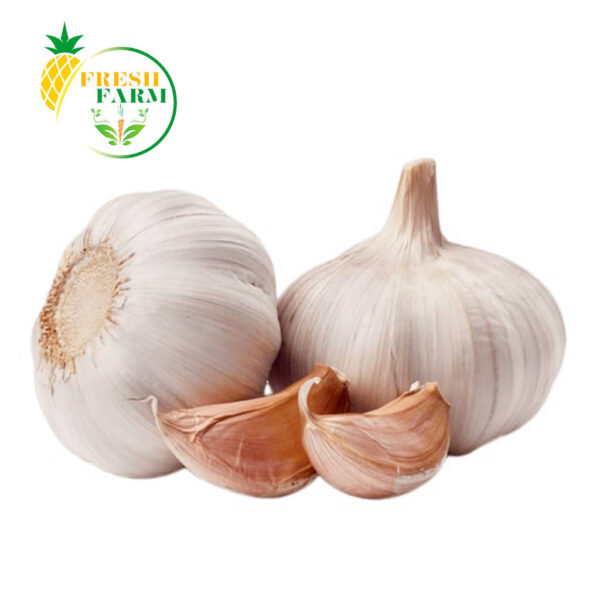 Garlic China | Lehsan