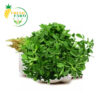 Fenugreek | Methi