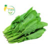 Spinach | Palak
