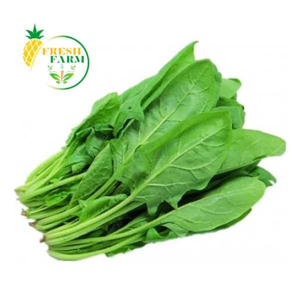 Spinach | Palak