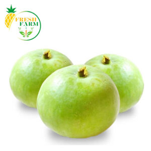 Apple Gourd | Tinday