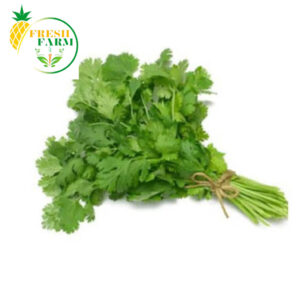 Mint Bundle | Podina