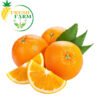 FreshFarm Oranges