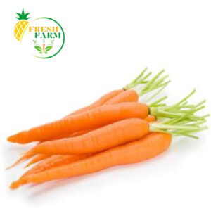 Carrot | Gajar